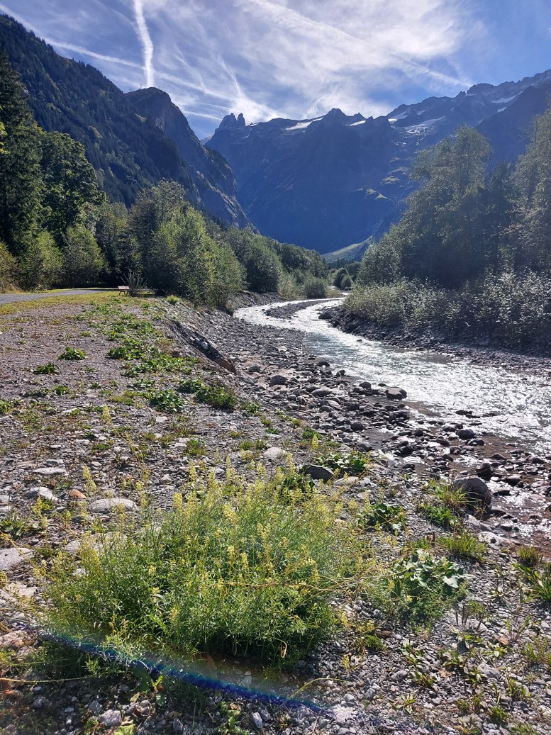 Engelberg1.jpg
